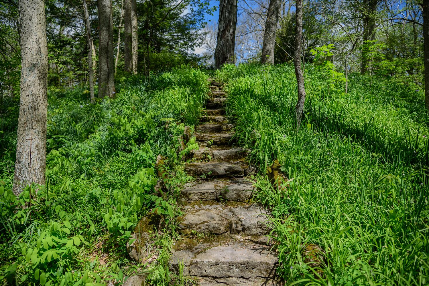 PHOTOS: Gorgeous Aullwood Garden is in full bloom