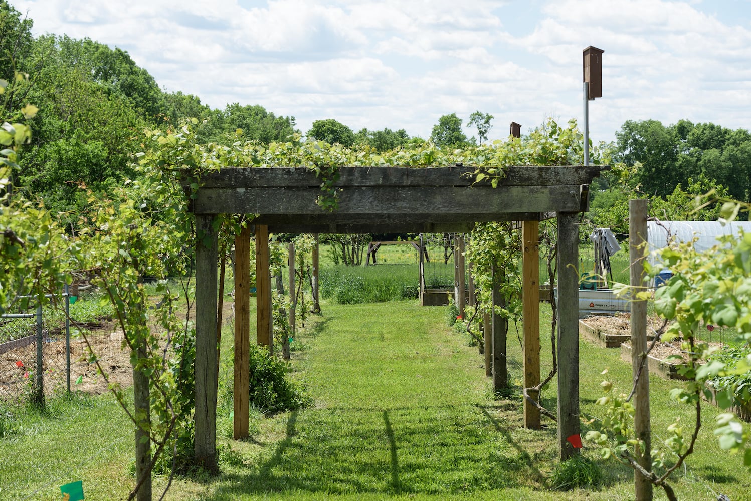 PHOTOS: Wooly Wonders - Spring on the Farm Family Event at Learning Tree Farm