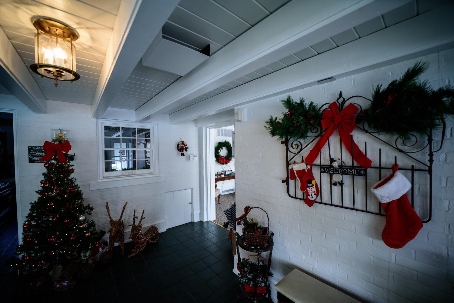 PHOTOS: Polen Farm light up for the holidays will take your breath away