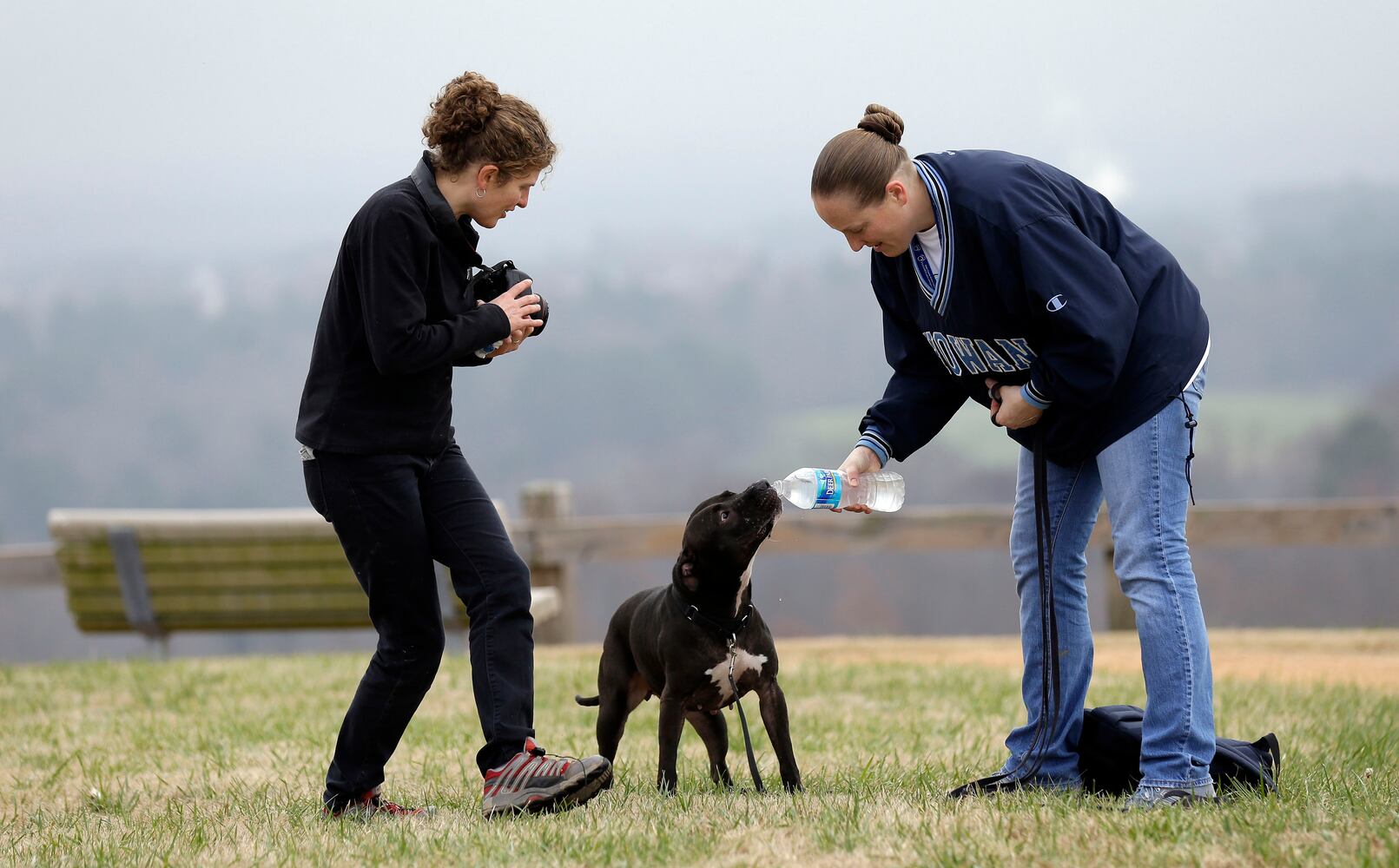 News hounds (12/12/2013)