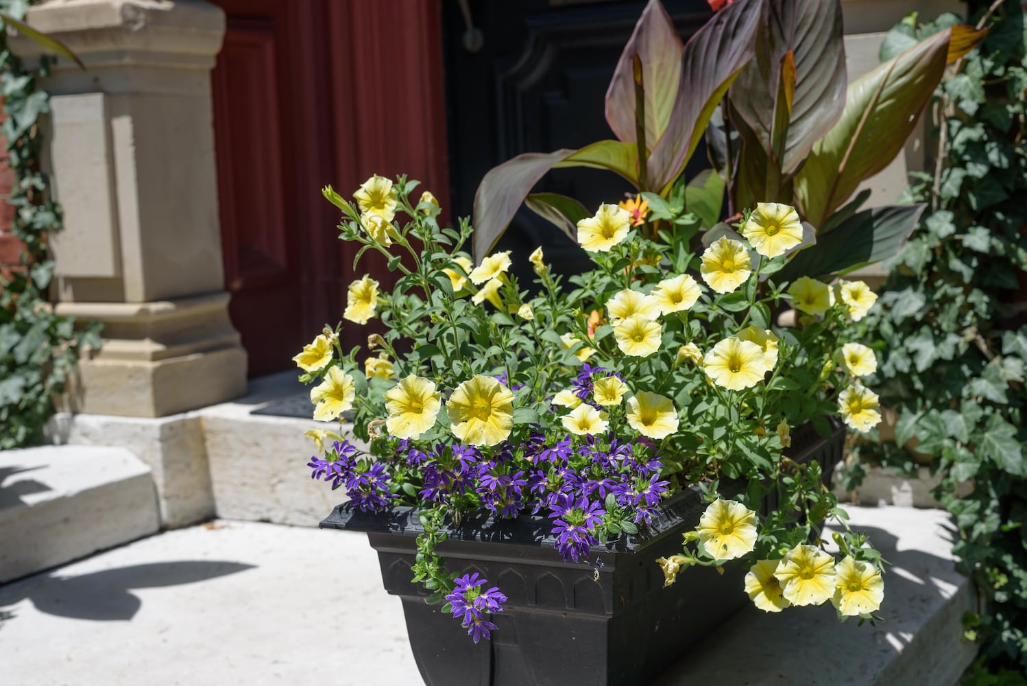 PHOTOS: 2025 Oregon Historic District Garden Tour