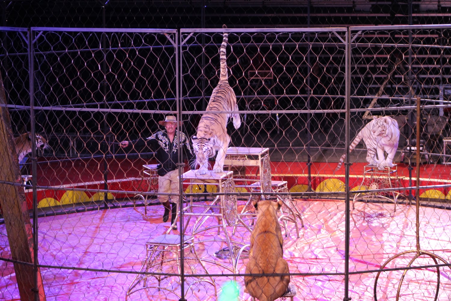 PHOTOS: Antioch Shrine Circus at UD Arena