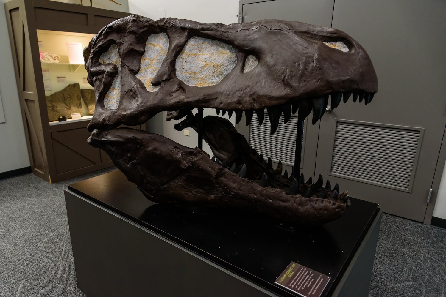 PHOTOS: Did we spot you at Eco Bash: Dayton's Dinosaur at the Boonshoft Museum of Discovery?