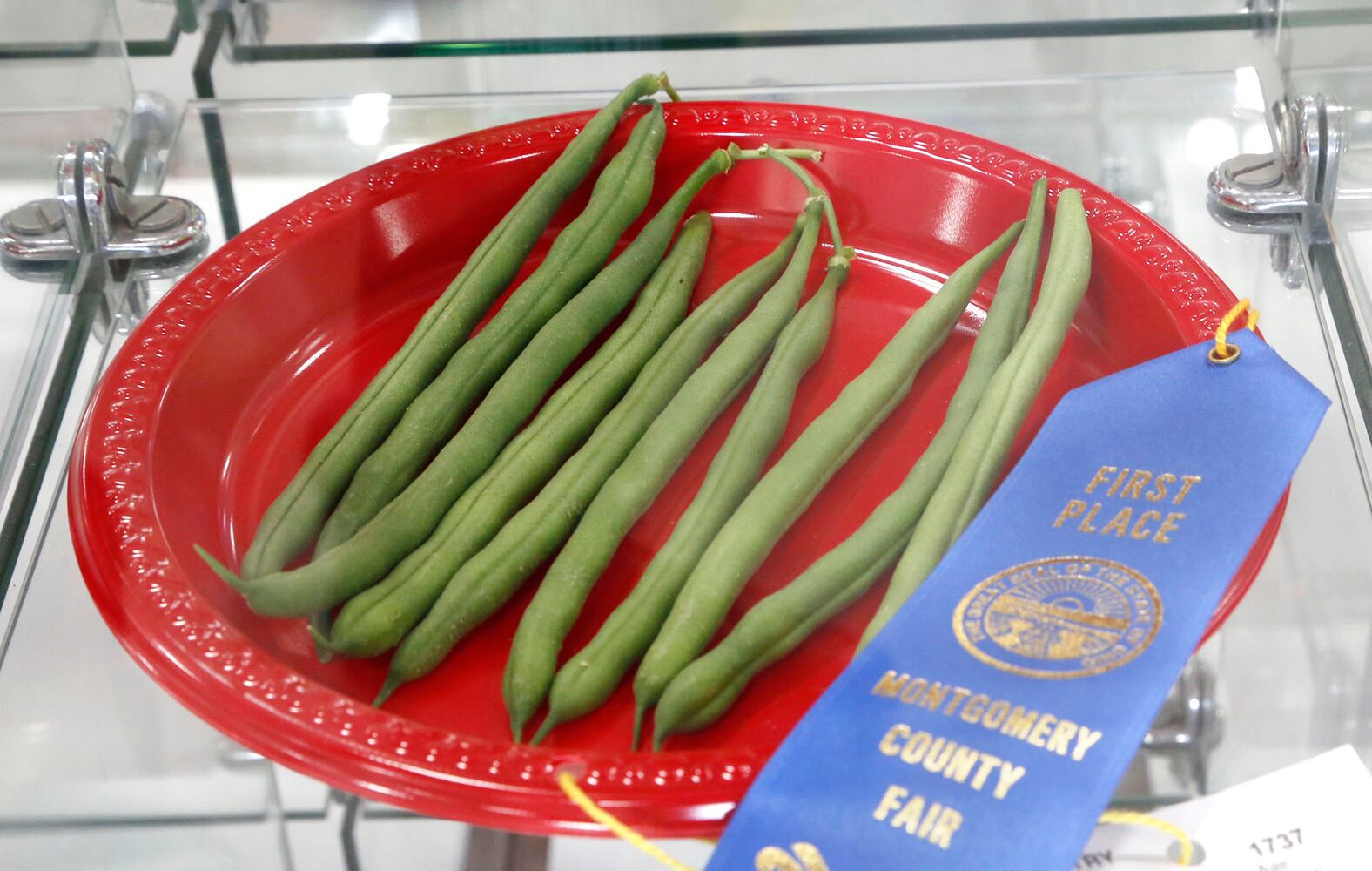 PHOTOS: First-day fun at the Montgomery County Fair
