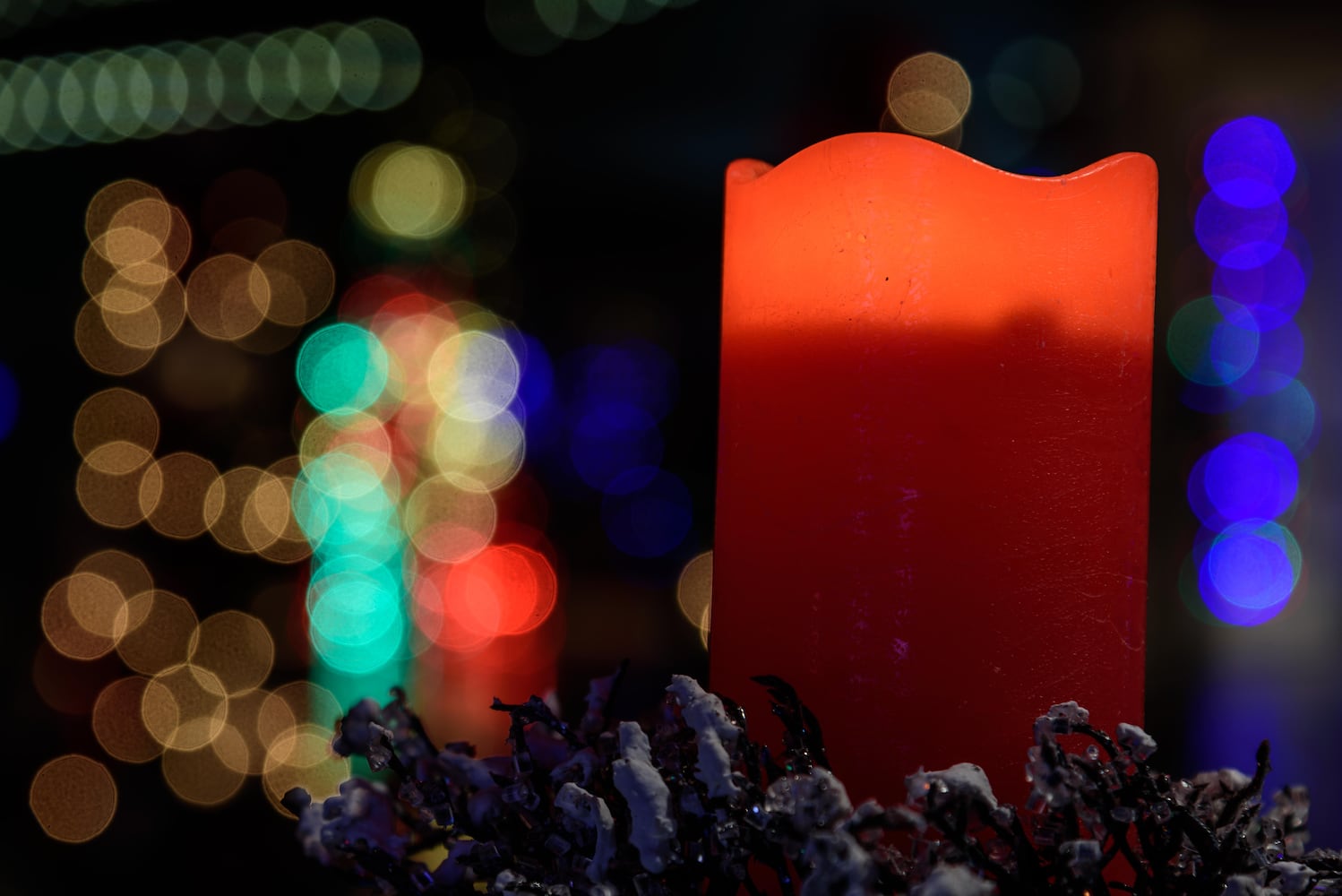 PHOTOS: Christmas Light Spectacular at Cedar Springs Pavilion