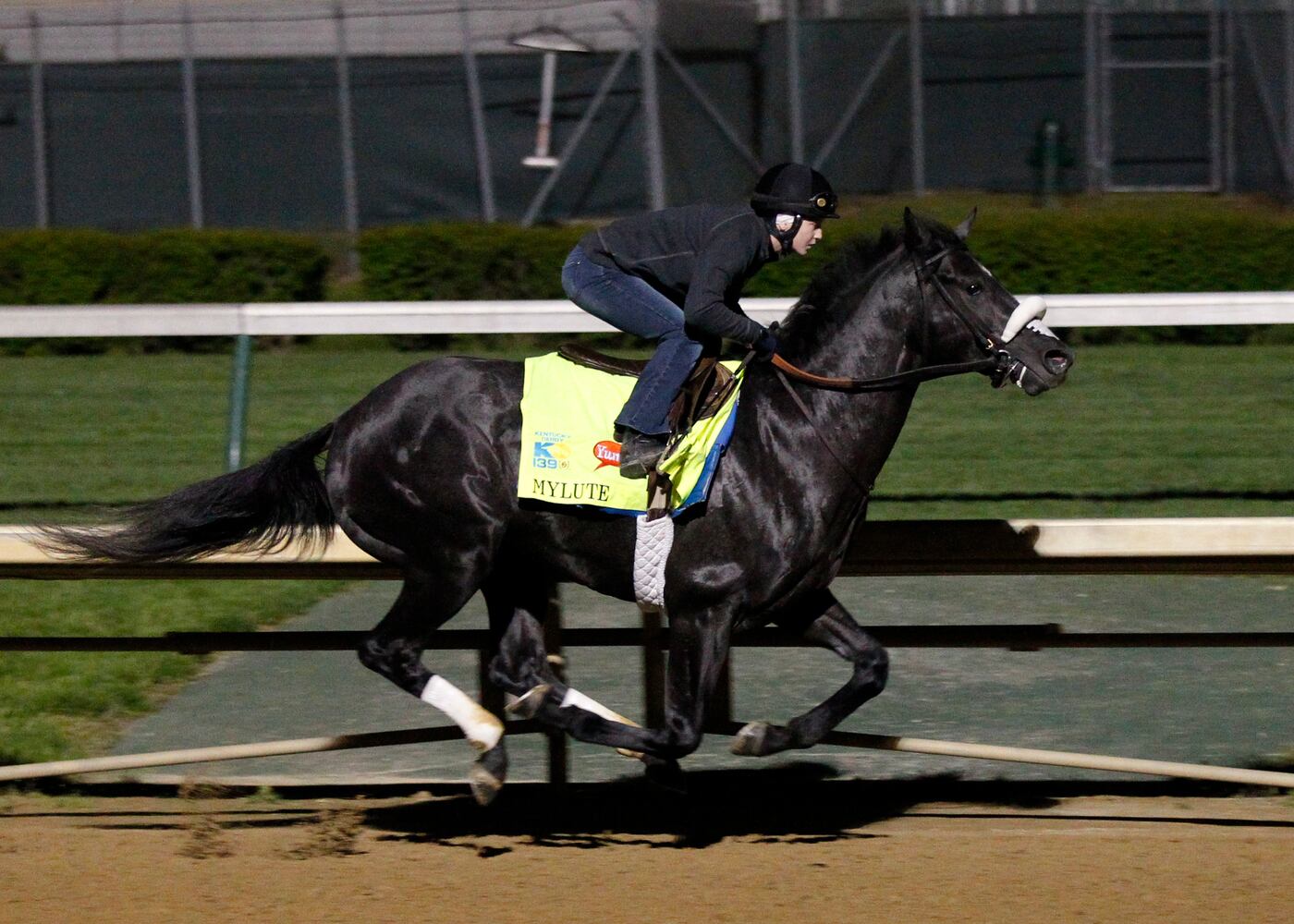 6. Mylute (16/1)