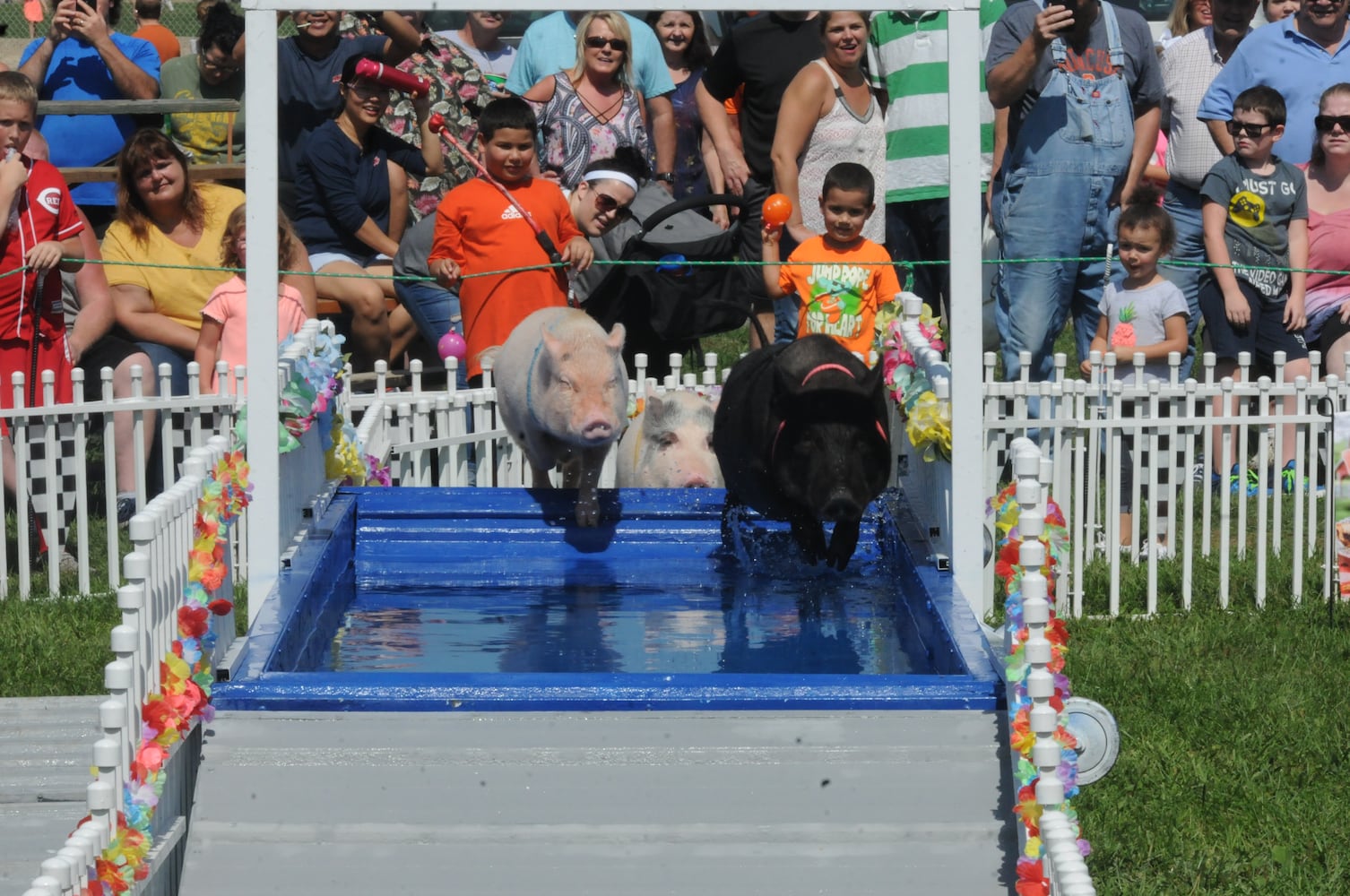 PHOTOS: Did we spot you at the Preble County Pork Festival?