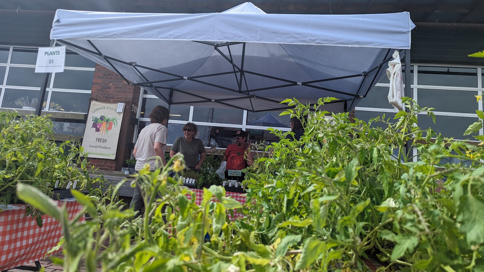 Vendors gather at 2nd Street Market, a prime location if you're curious to learn more about native plants. CONTRIBUTED