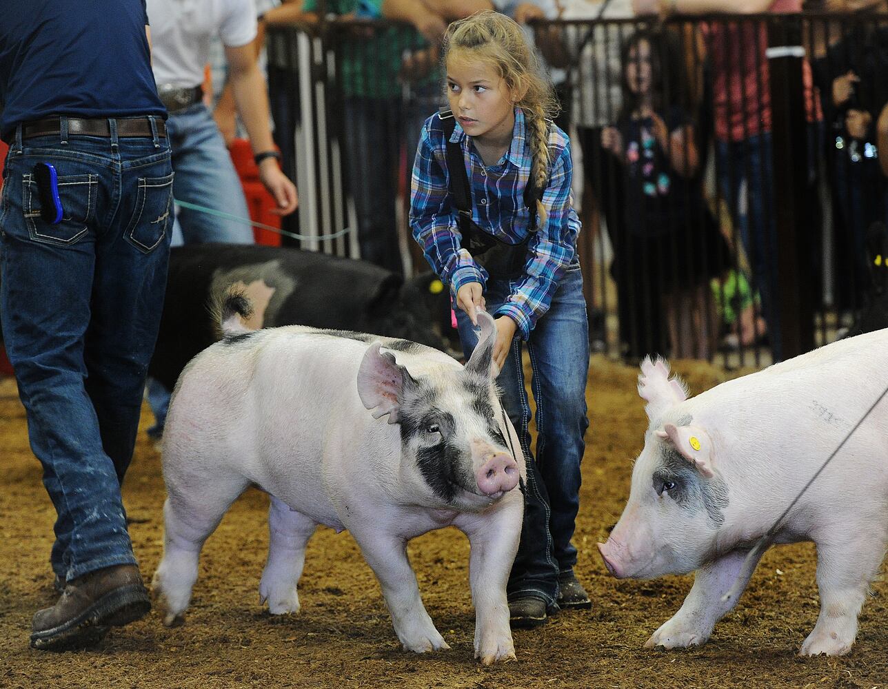 GREENE COUNTY FAIR