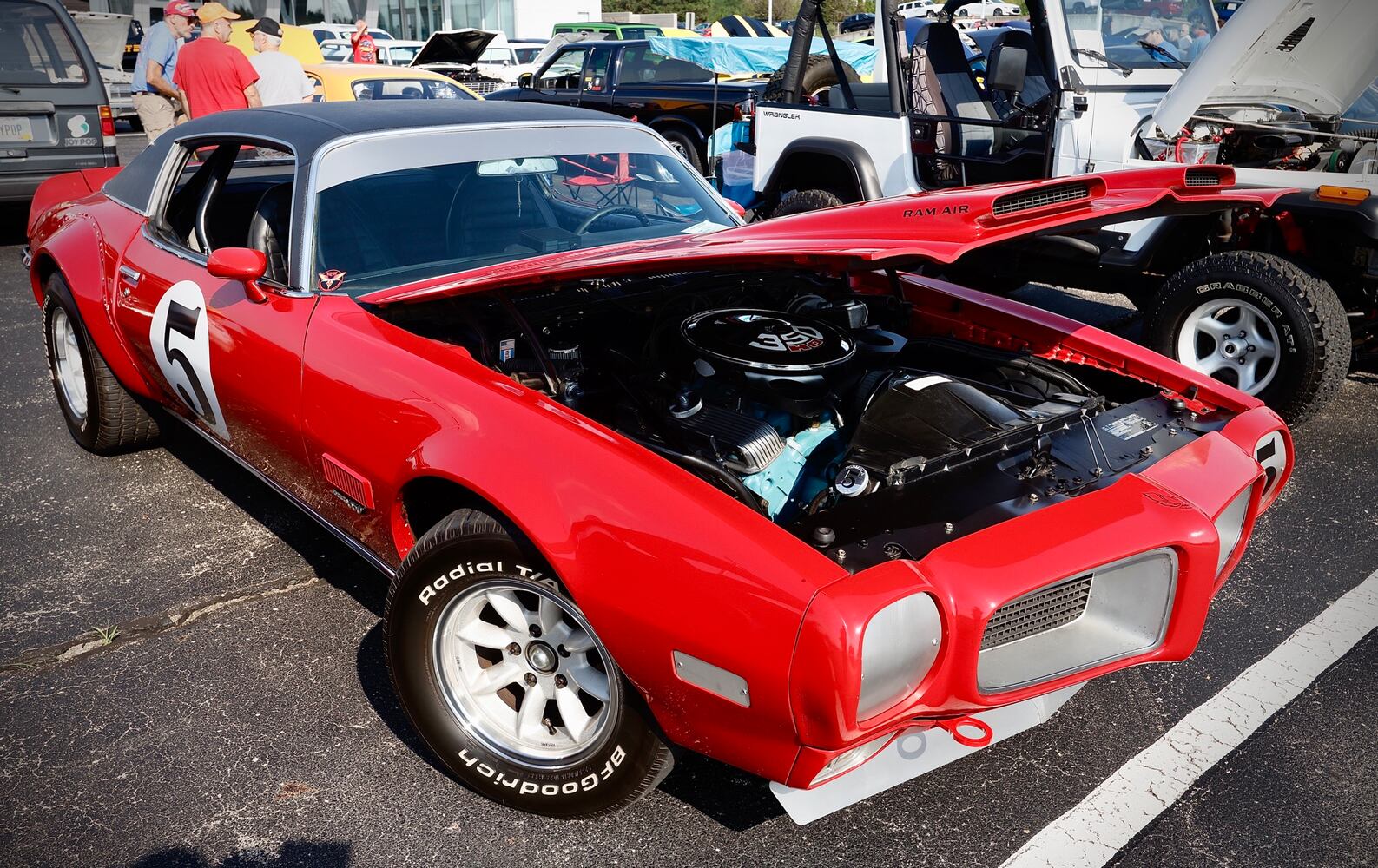 Cruise in 