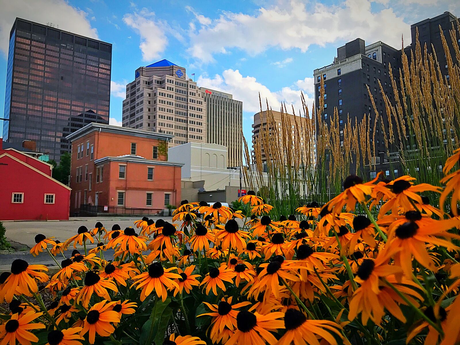 Amy Dallis was named a winner of the 2017 Downtown in Focus photography contest for this beautiful shot. The Downtown in Focus photo contest focuses on the best photos depicting different aspects of the downtown lifestyle submitted by amateur and progressional photgraphers from throughout the region.