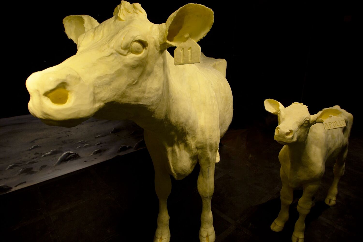 PHOTOS: Historic moon landing re-created in butter