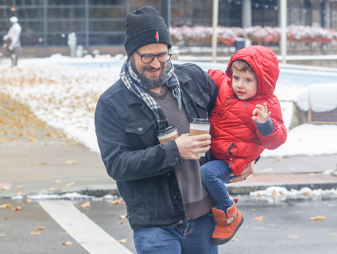 November 2025 Springfield Snow 