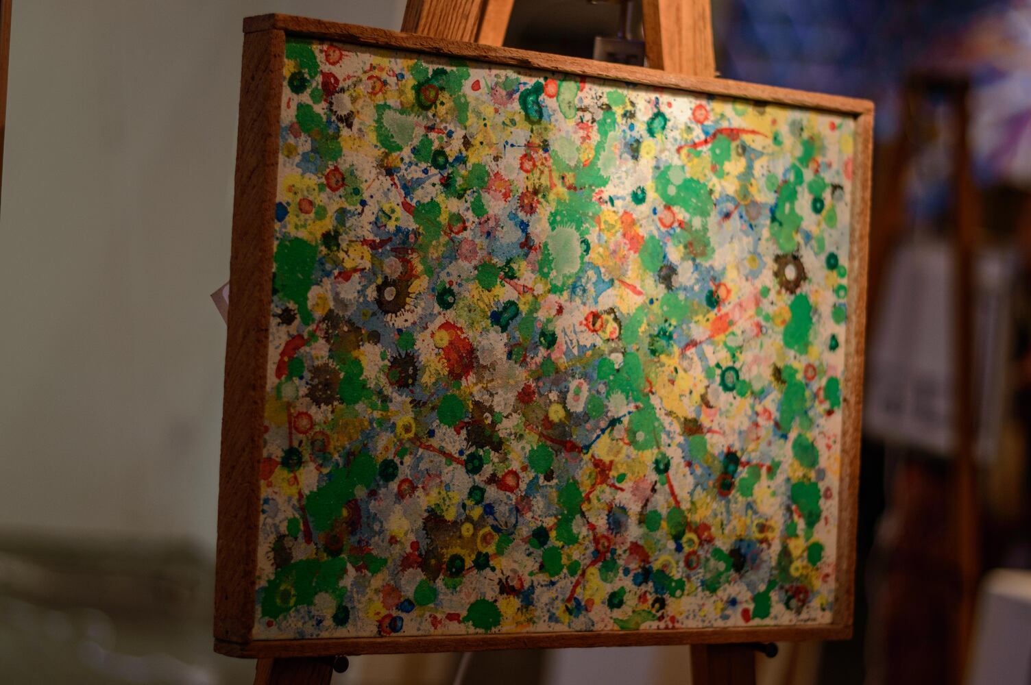 PHOTOS: DVAC Art Auction 2017
