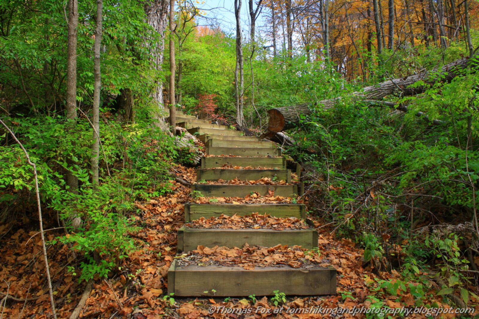 Contributed by MetroParks