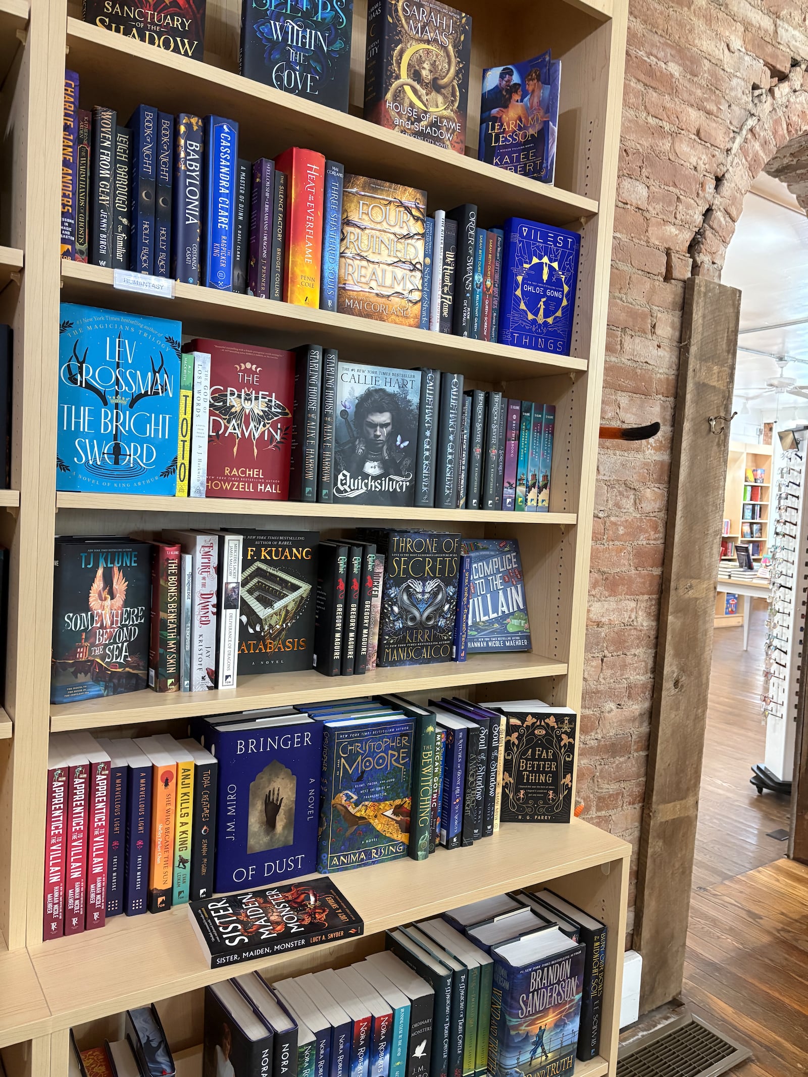 Blue Dog Books is a locally owned and operated bookstore now open at 245 S. Main St. in historic Springboro. JEN BALDUF/STAFF