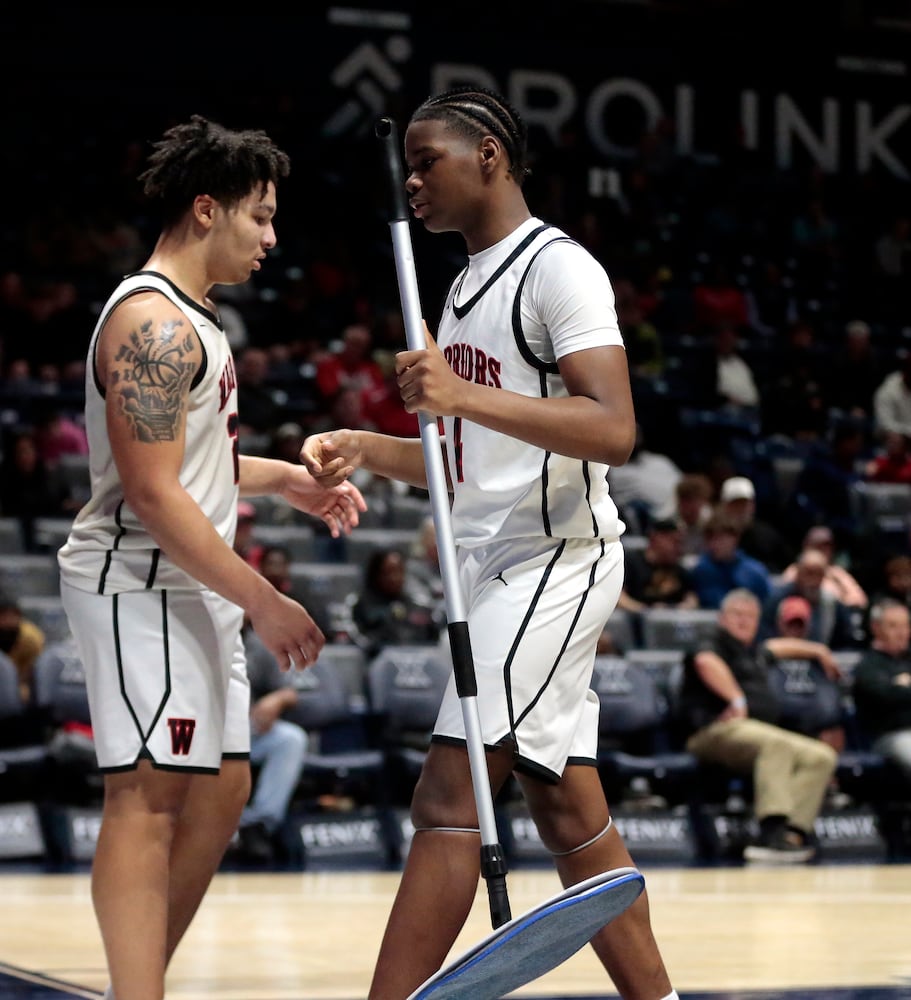 Wayne Princeton basketball