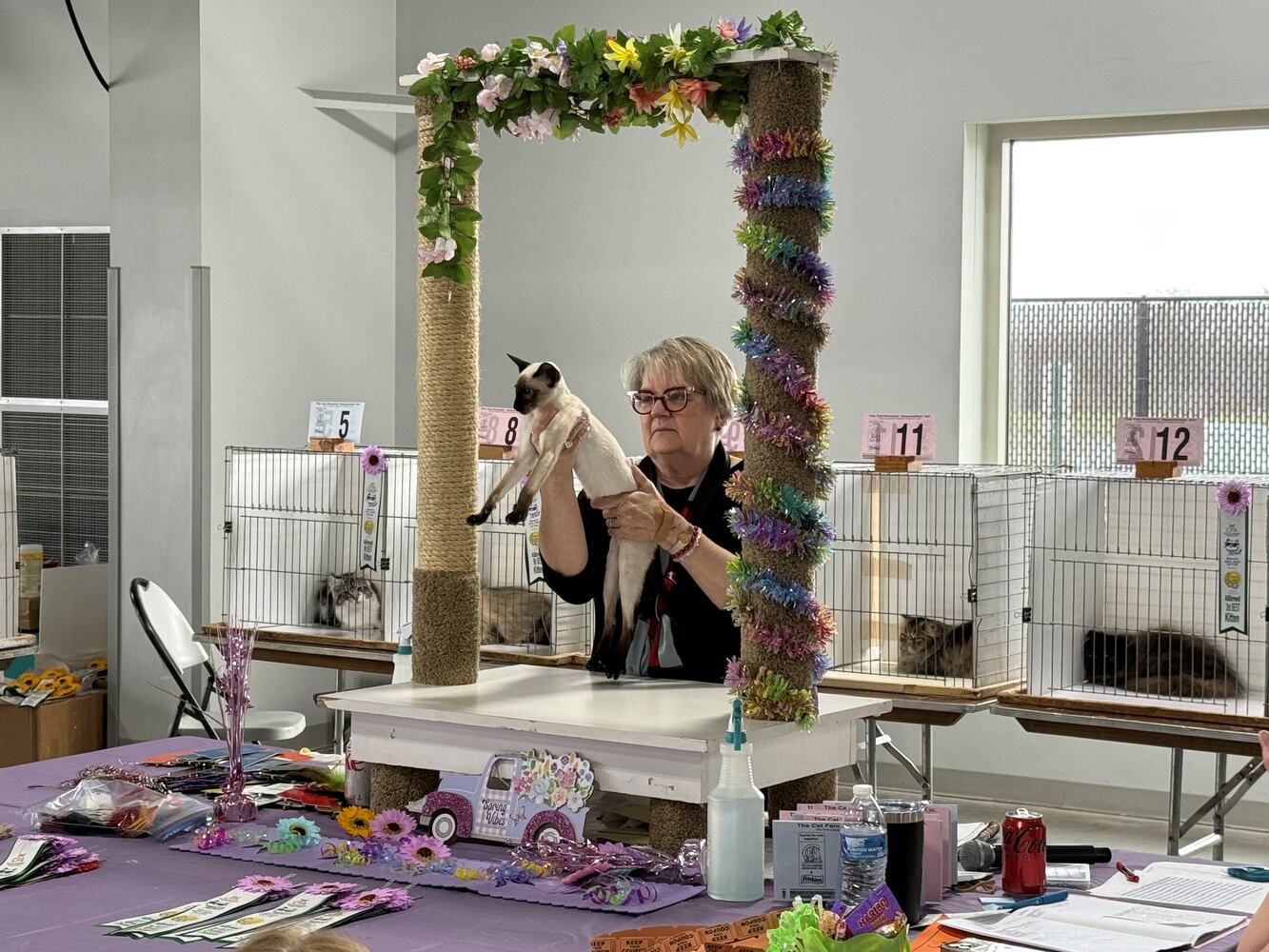 Cat Fanciers' Association cat show