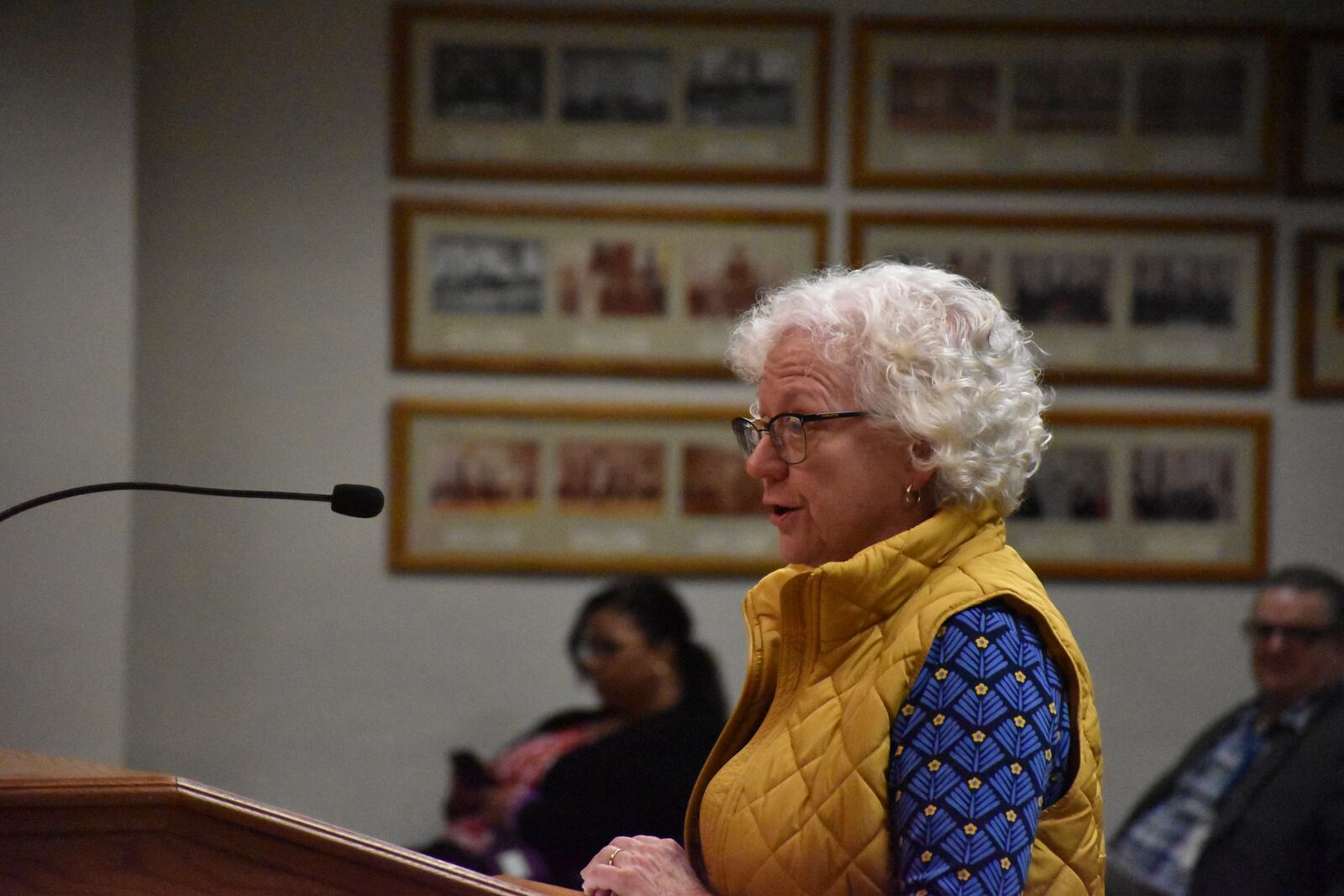 Janet Michaelis, a Dayton resident who is the Airbnb host community leader for the Dayton and Cincinnati region, speaks at a Dayton City Commission meeting on Feb. 7, 2024, in support of a proposed "nuisance party" law. CORNELIUS FROLIK / STAFF