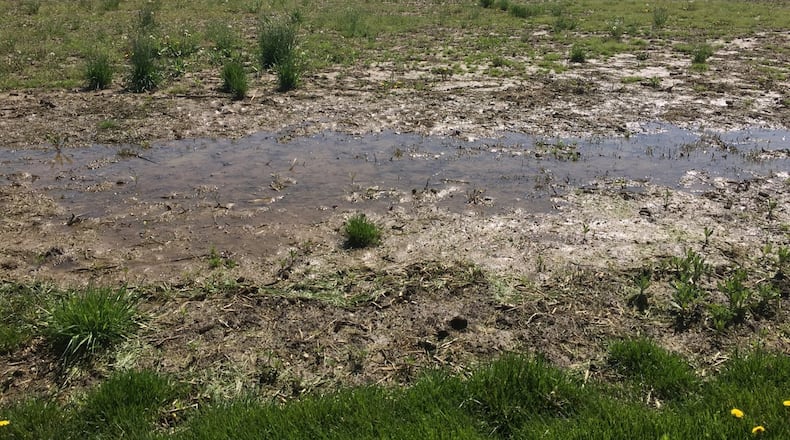 Wet fields likes this one on the Matt Hundley farm near Eldorado in Preble County are keeping farmers from planting this spring. STAFF PHOTO / JAMES RIDER