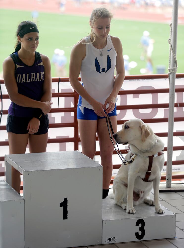 News hounds (5/21/15)