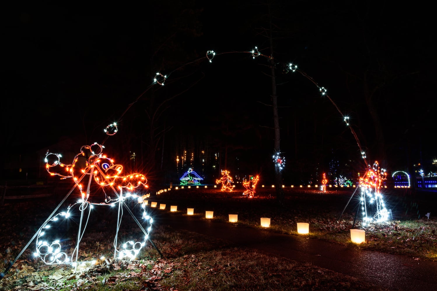 PHOTOS: A walk through Woodland Lights in Washington Township