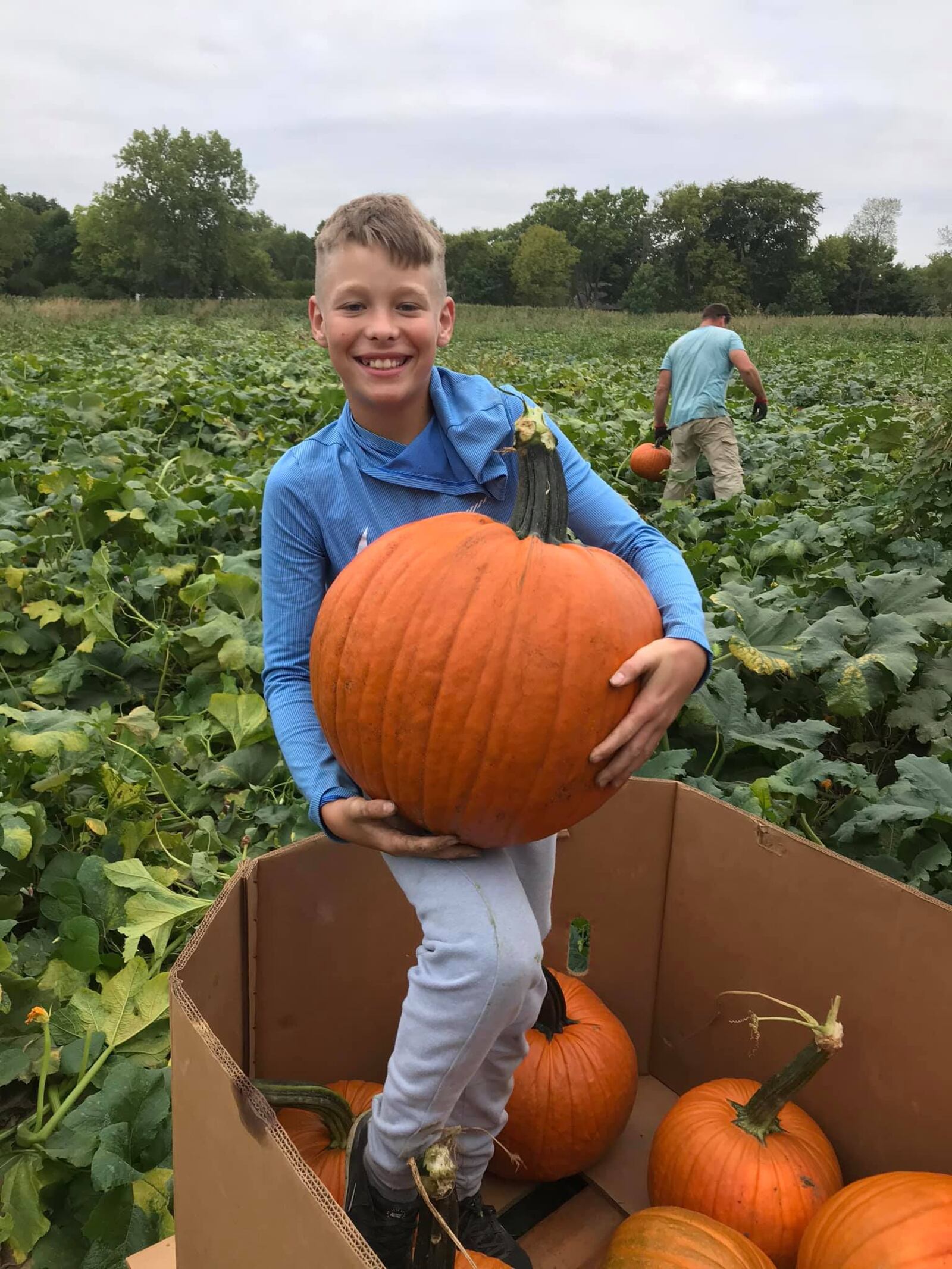 Customers pick out pumpkins at the McMonigle Farm Market.