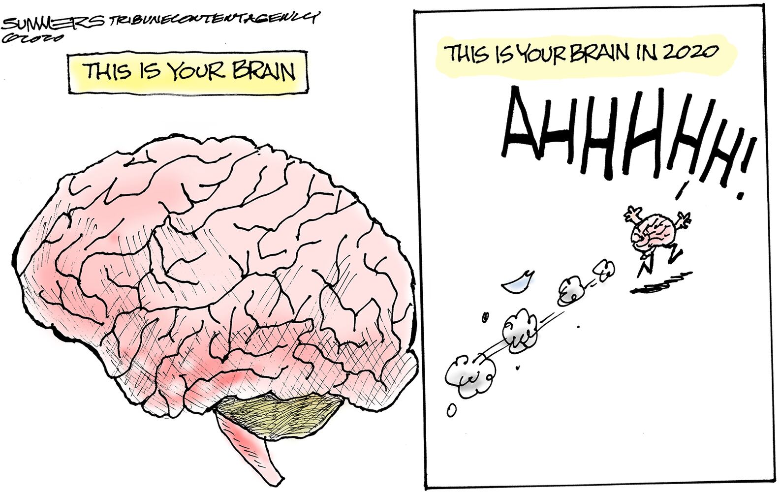 Week in cartoons: Democracy, Alex Trebek and more
