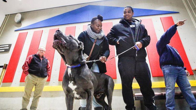 Montgomery County’s No. 1 dog license issued this year went to Duke, a cane corso feared lost but reunited with his owners Semico and Anthony Harden more than four months after they were separated by a Memorial Day tornado. The dog and its owners from Trotwood are seen at an event Wednesday promoting the sale of 2020 dog tags, which go up in cost after Jan. 31. (CHRIS STEWART/STAFF)