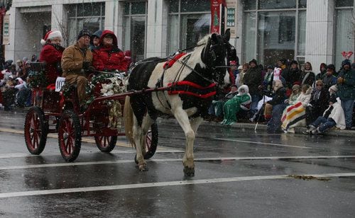 Horse-drawn carriage parade, festival in Lebanon