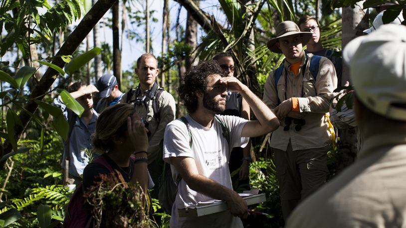Volunteers are instructed on how to assess damaged trees in the El Yunque National Forest in Puerto Rico, Jan. 17, 2018. Researchers are studying the damage wrought by Hurricane Maria to this lush, 28,000-acre tropical rainforest to better understand how forests could be changed permanently as the world continues to warm. (Erika P. Rodriguez/The New York Times)