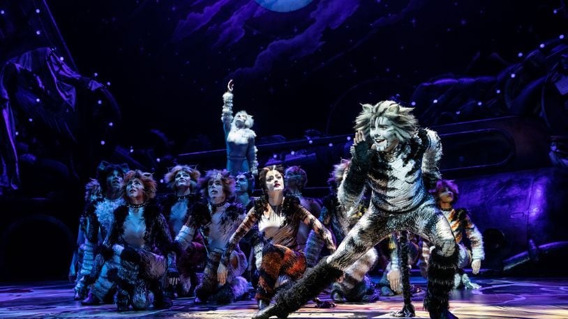 Dan Hoy as Munkustrap and the North American Tour of "CATS."