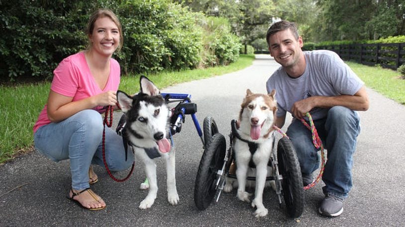 Ayla Manzer, left, and Dakota Sillox pose with their adopted "handicapable" dog Maple, right, and foster dog, Dallas, left.