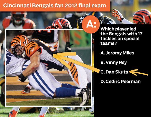 Cincinnati Bengals fan 2012 final exam: