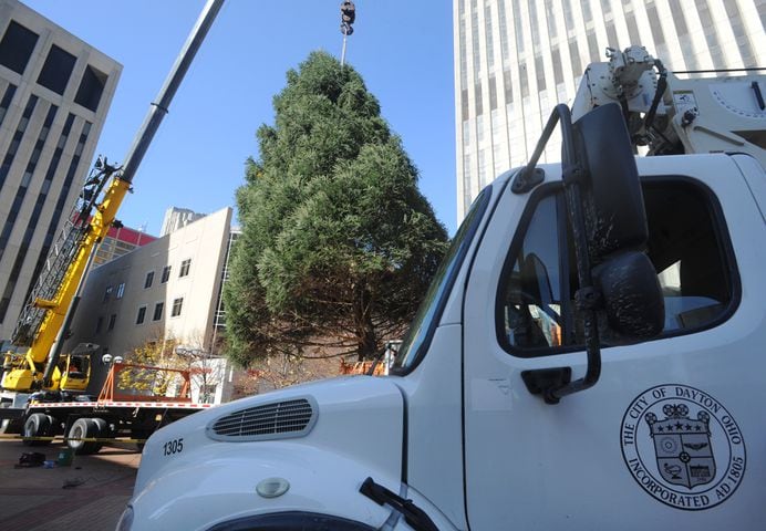 PHOTOS: Tree arrives for Dayton Holiday Festival