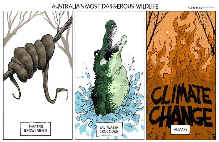 Week in cartoons: Iran, Australia fires and more