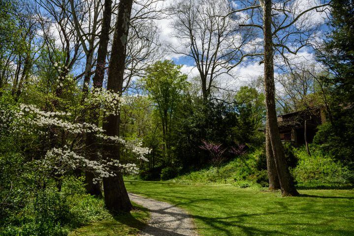PHOTOS: Gorgeous Aullwood Garden is in full bloom