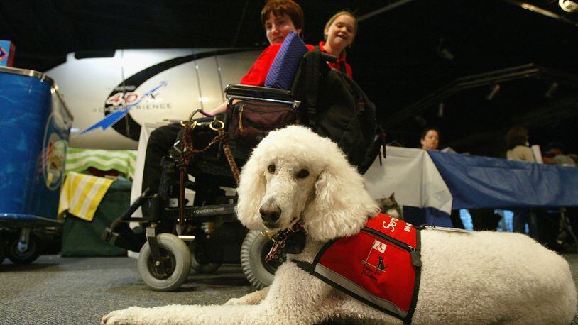 Publix's new service animal policy states that service dogs must not ride in shopping carts inside stores.